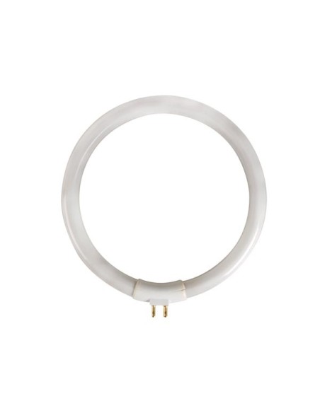 Velleman LAMP 12/10 fluorescente circular 12W para reposición lámpara lupa VTLAMP 10