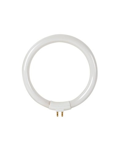 FLUORESCENTE CIRCULAR 12W PARA REPOSICION LAMPARA LUPA VTLAM