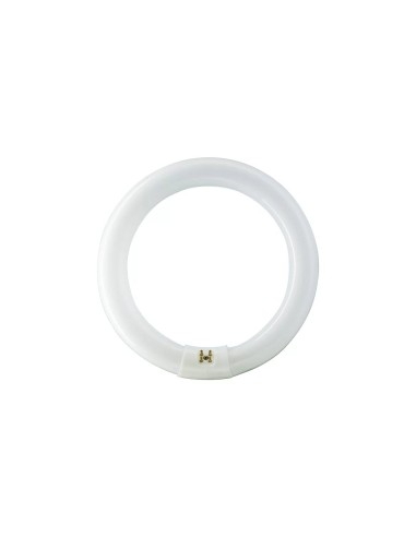 Philips master tl-e circular t9 22w 865 G10q