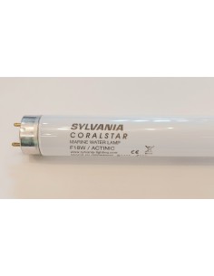 Sylvania coralstar tubo t8 60cm 18w G13