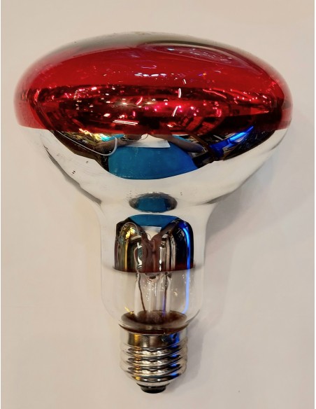 Infraroja r95 230v 100w E27