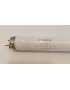 Osram tubo t8 1200mm 36w/19 5000k G13