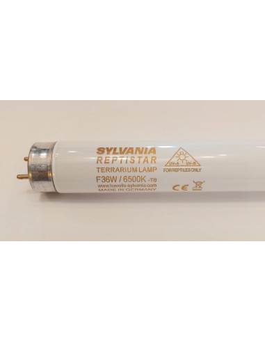 Sylvania tubo t8 reptistar 1200mm 36w 6500k G13