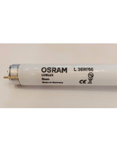 Osram lumilux l tubo t8 1200mm color verde 36w/66 G13