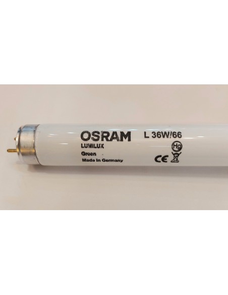 Osram lumilux l tubo t8 1200mm color verde 36w/66 G13