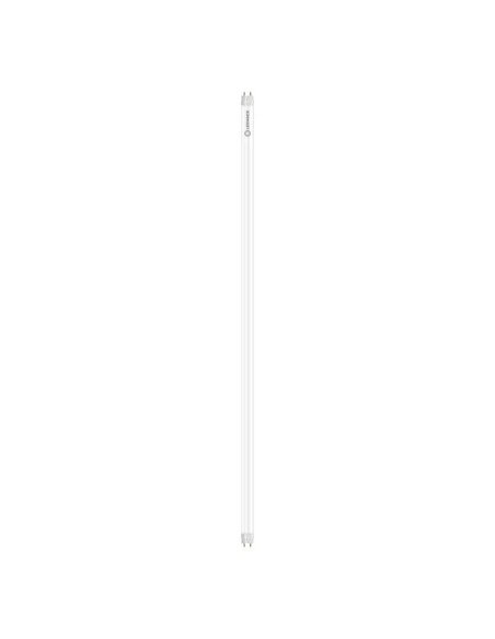 Ledvance value class ledtube t8 1200 220v 17,7w 6500k G13