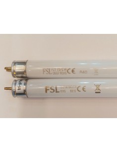 FSL tubo t5 21w 840 (CW) G5