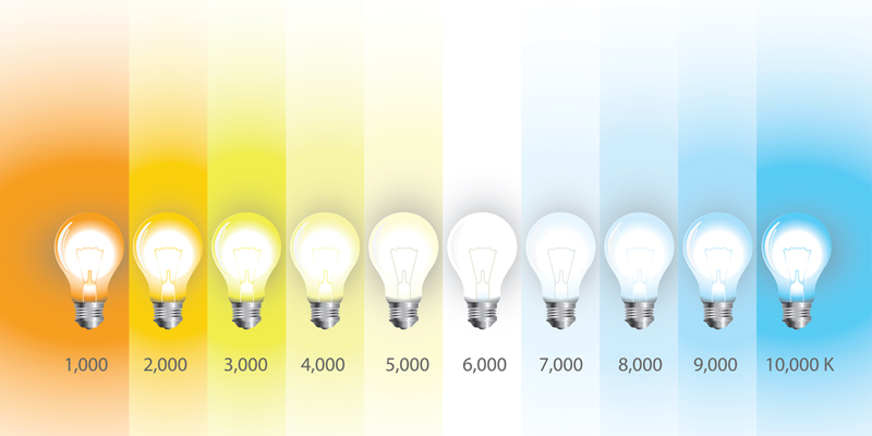 raíz La Internet Anillo duro Cómo elegir la iluminación LED para tu hogar? - Ovalamp